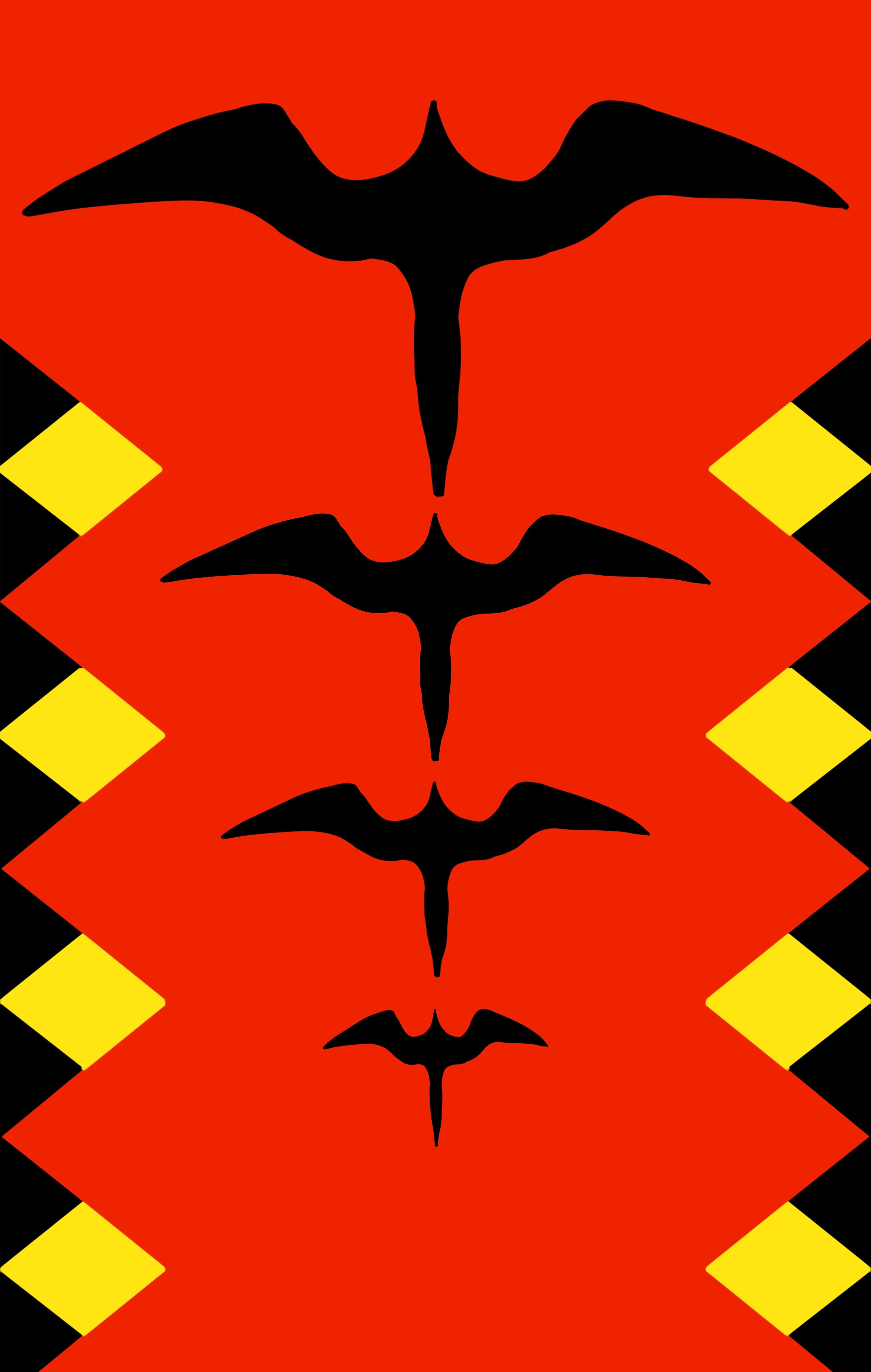 The Iwa Kollection