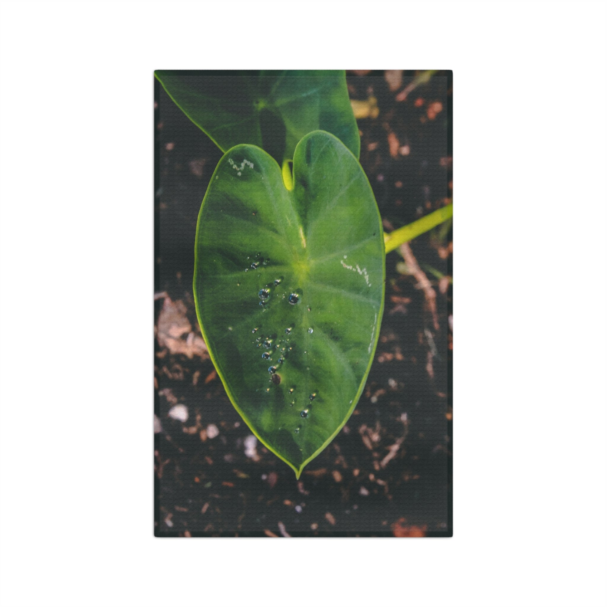 Keiki Kalo Microfiber Tea Towel