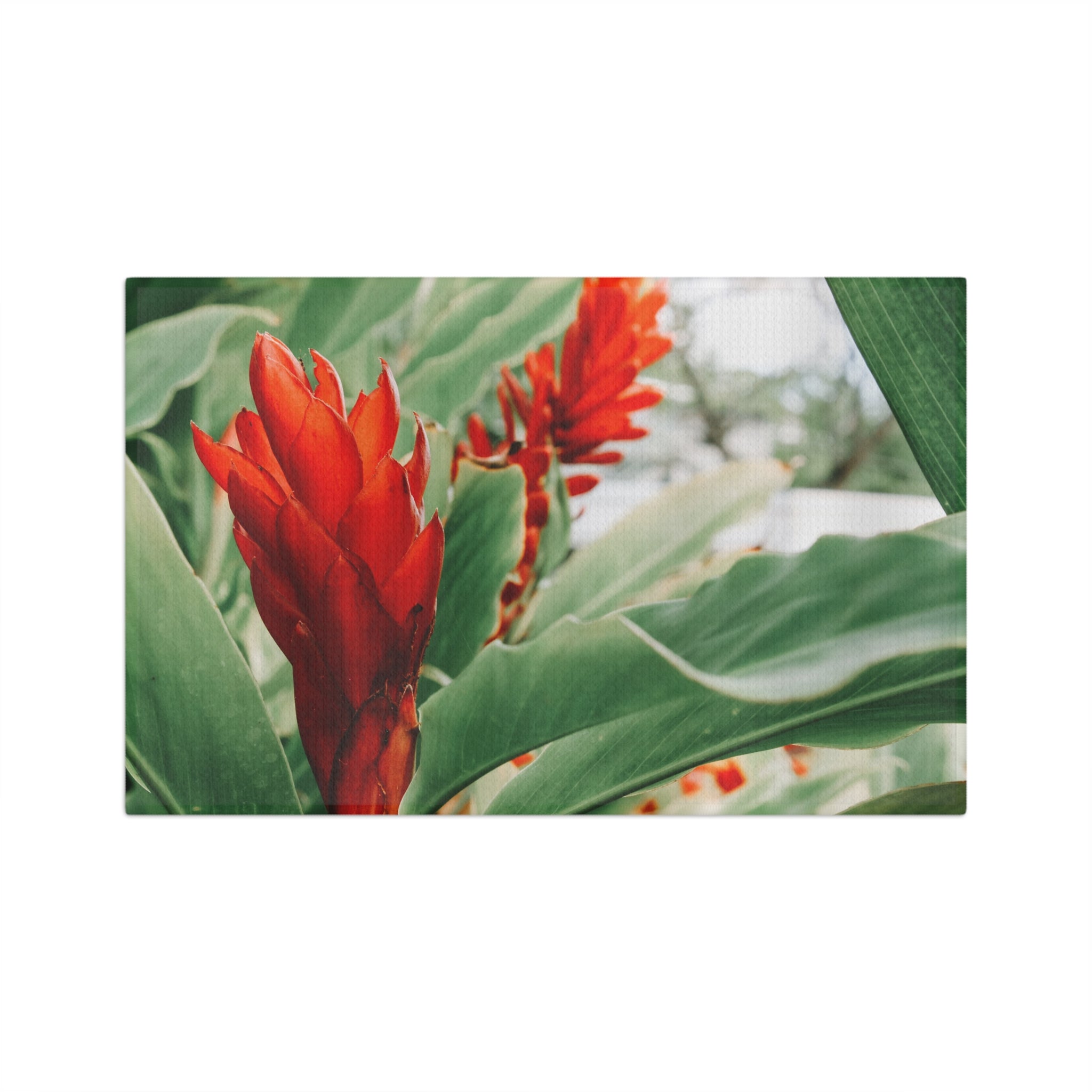 Awapuhi 'Ula'ula Microfiber Tea Towel