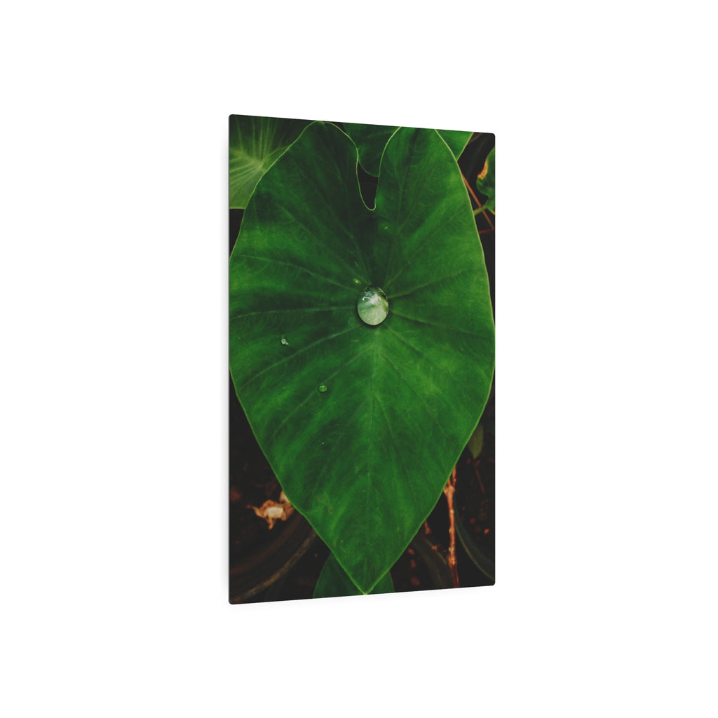 Kalo Metal Art Sign