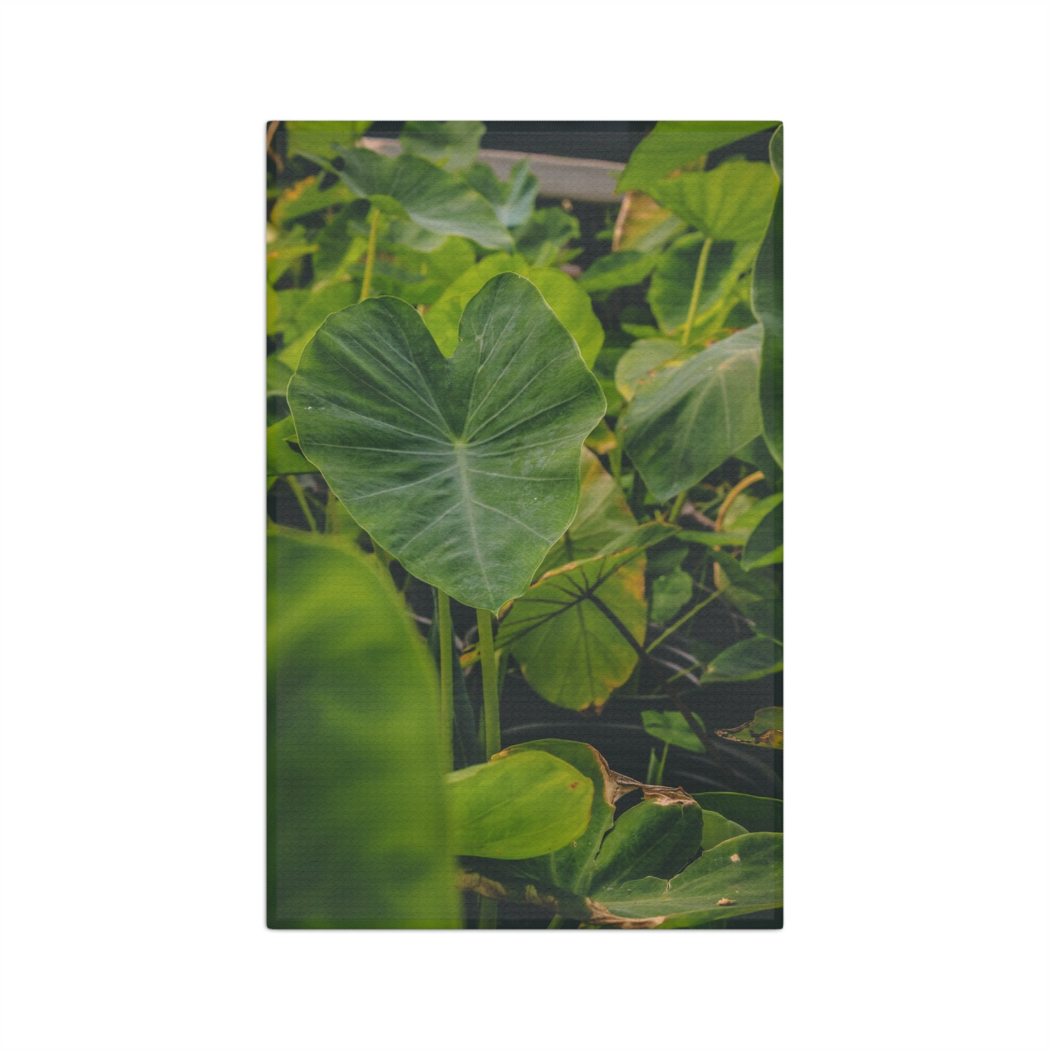 Keiki Kalo 2 Microfiber Tea Towel