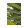 Hala Fruit Microfiber Tea Towel
