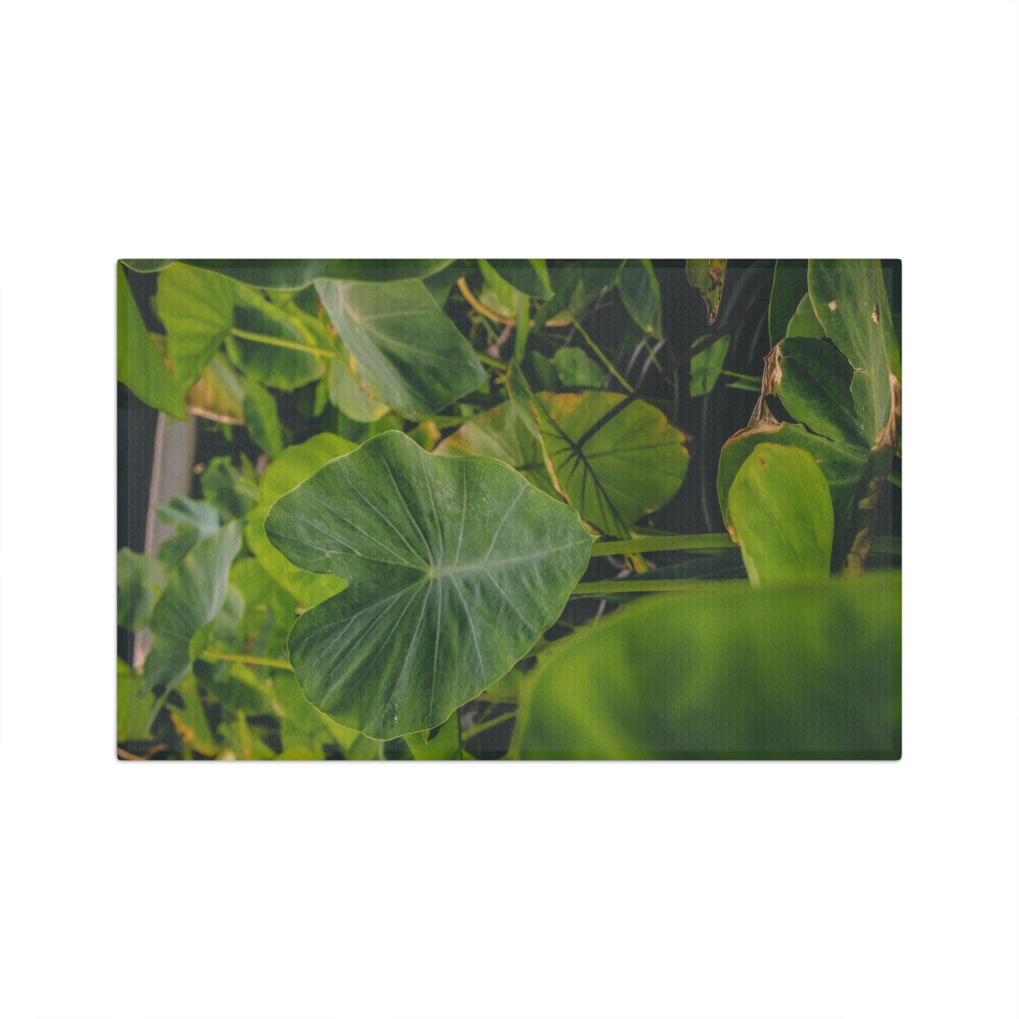 Keiki Kalo 2 Microfiber Tea Towel