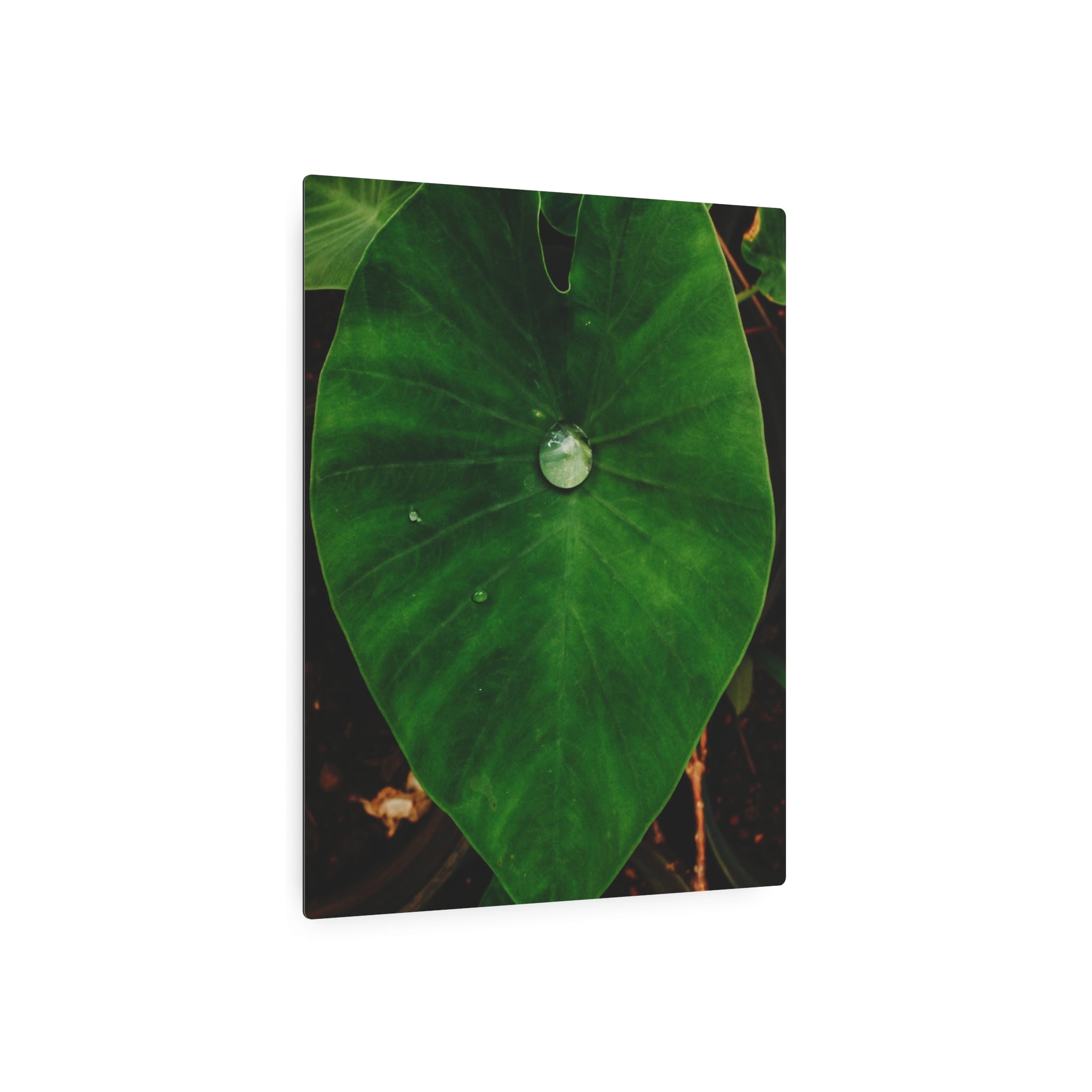 Kalo Metal Art Sign