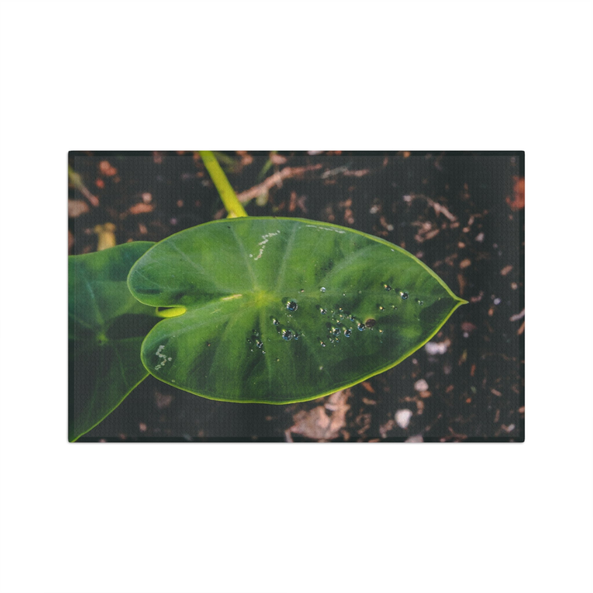 Keiki Kalo Microfiber Tea Towel