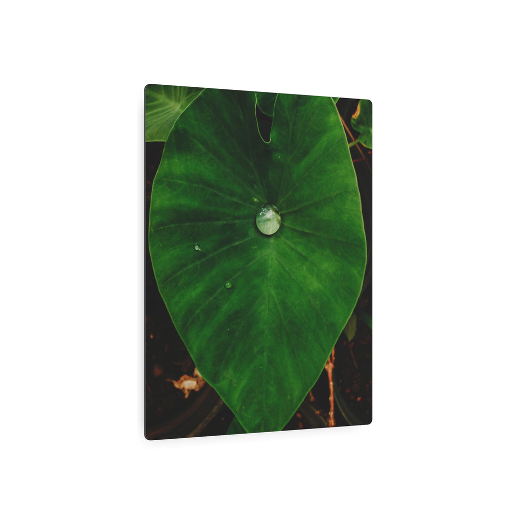 Kalo Metal Art Sign