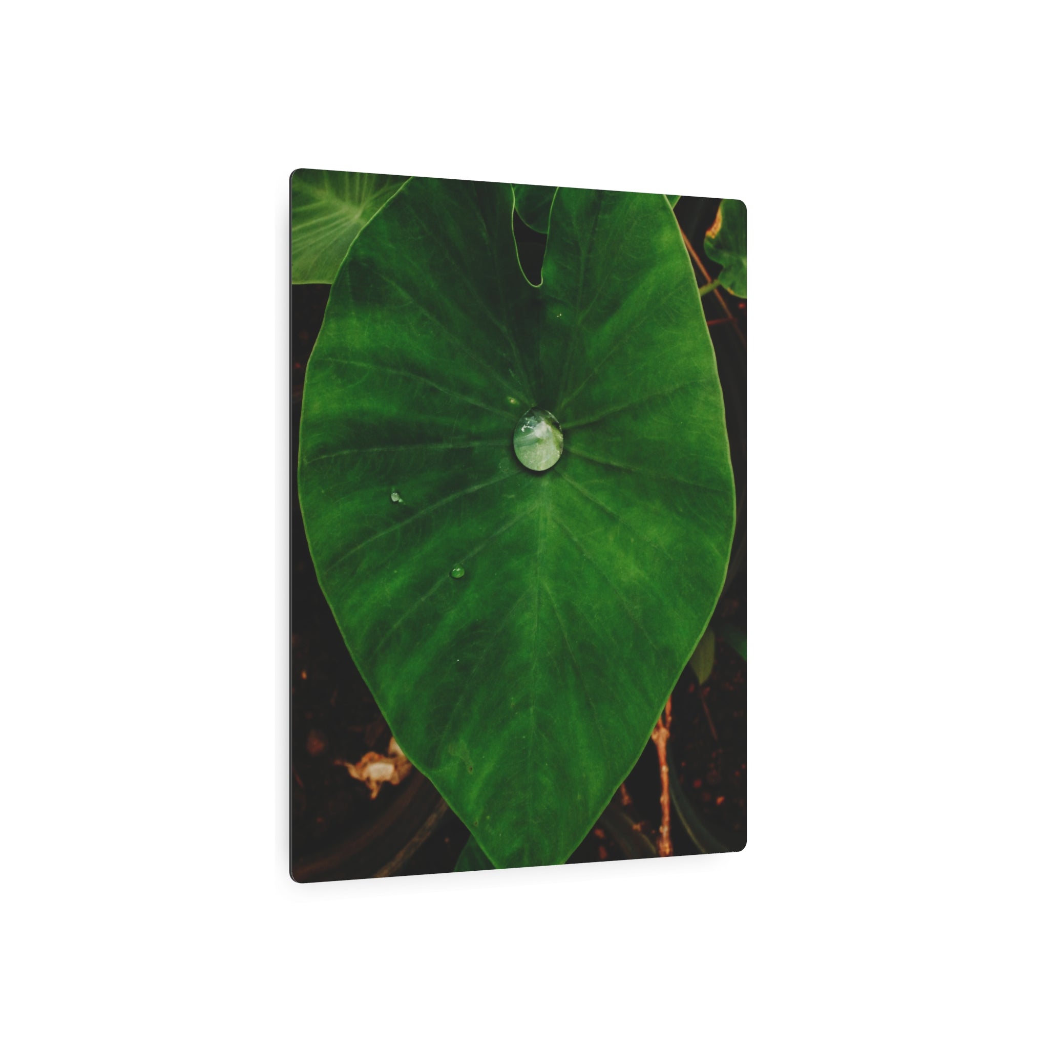 Kalo Metal Art Sign