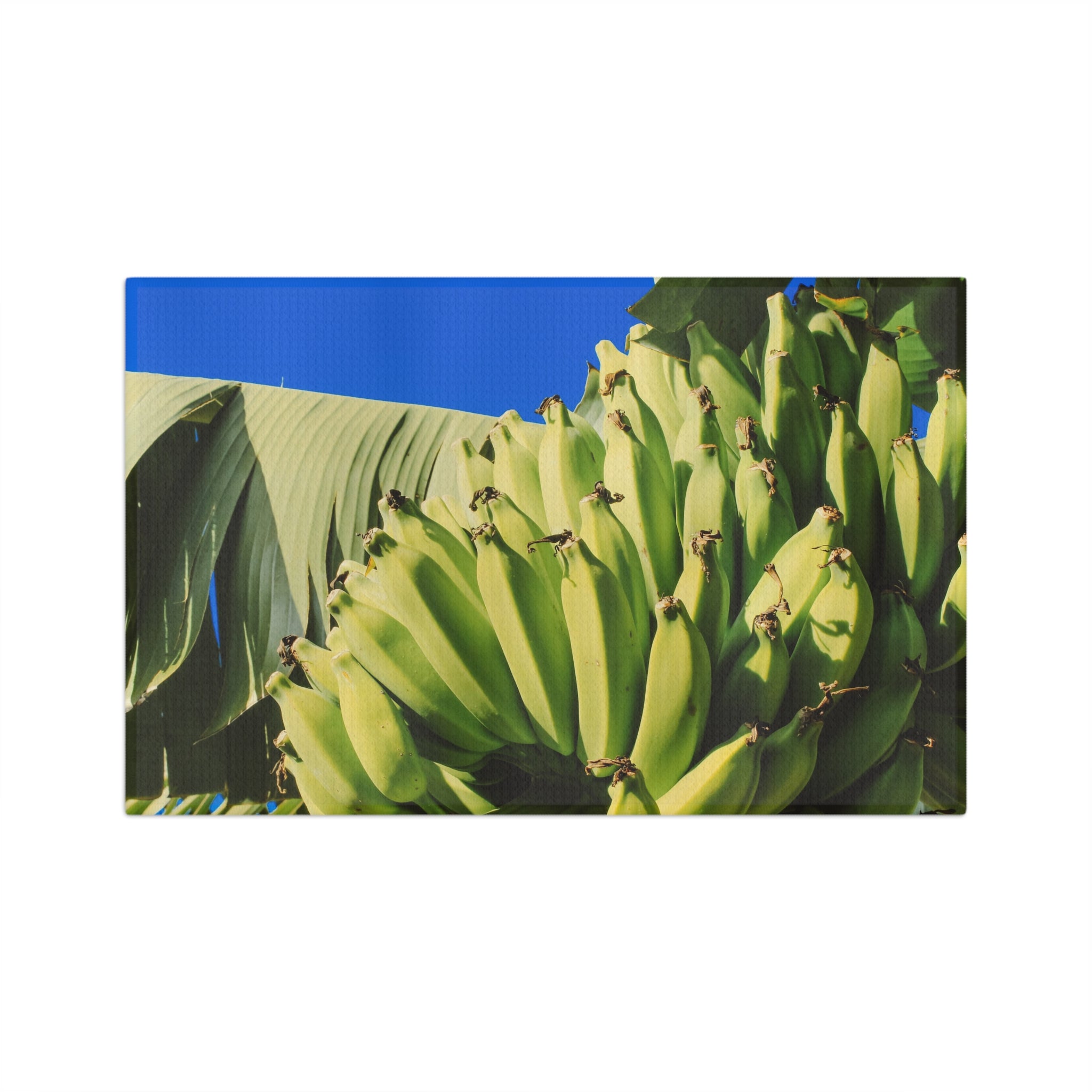 Mai'a Microfiber Tea Towel