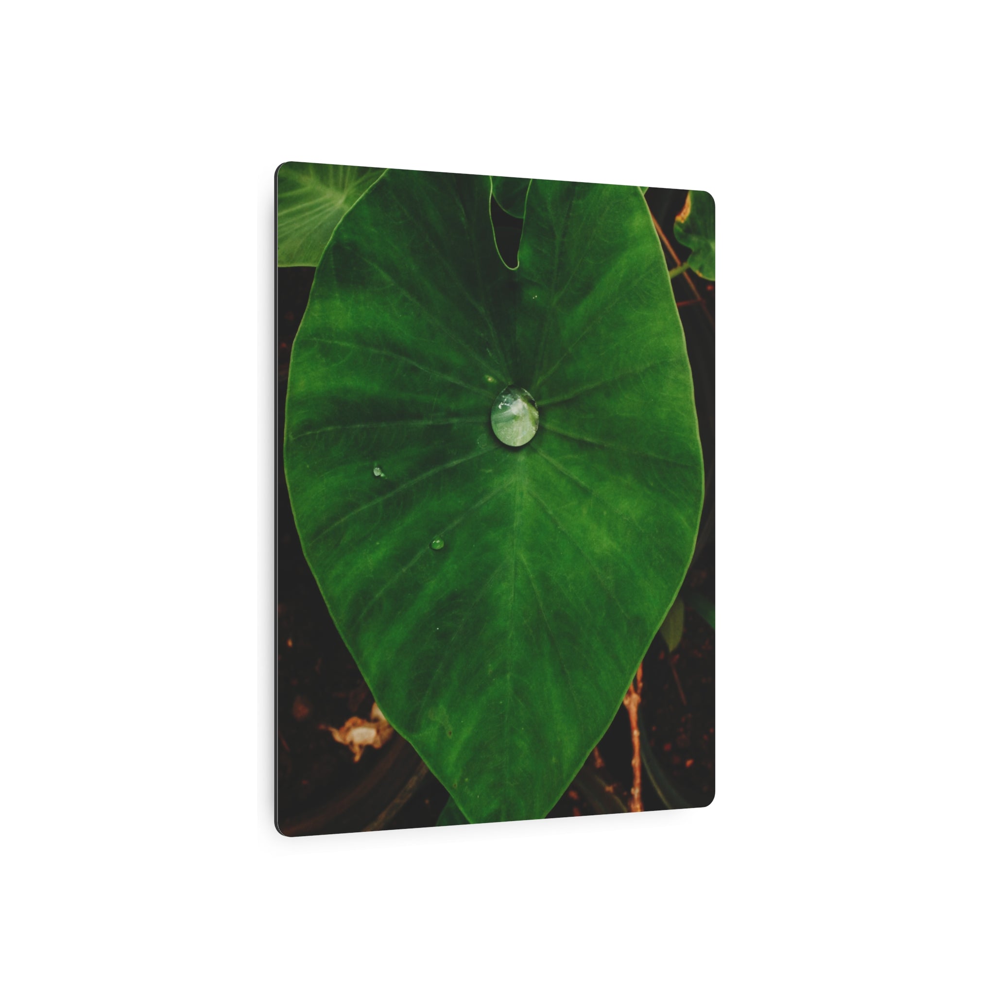 Kalo Metal Art Sign
