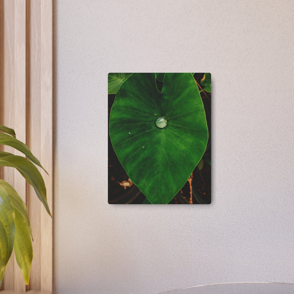 Kalo Metal Art Sign