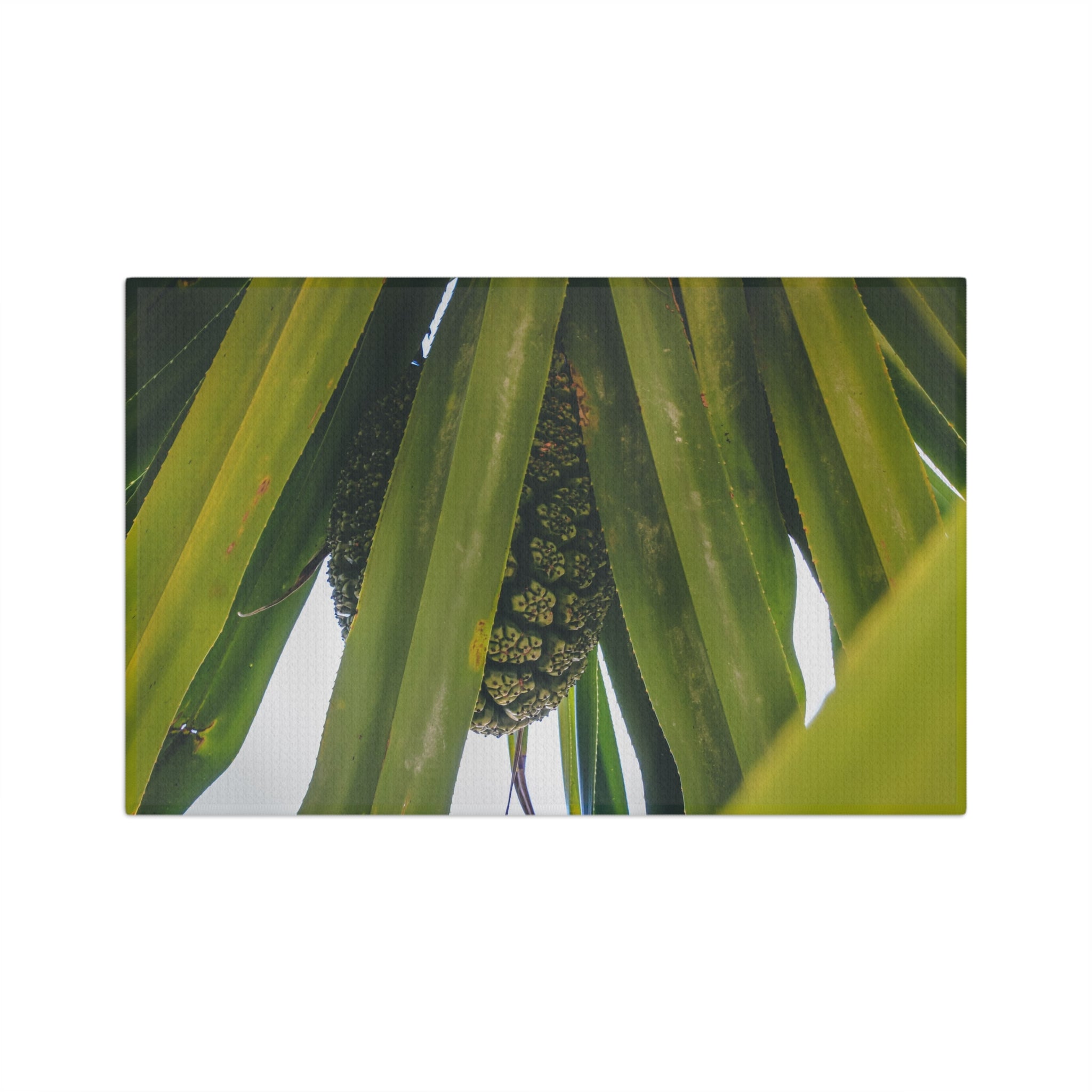 Hala Fruit Microfiber Tea Towel