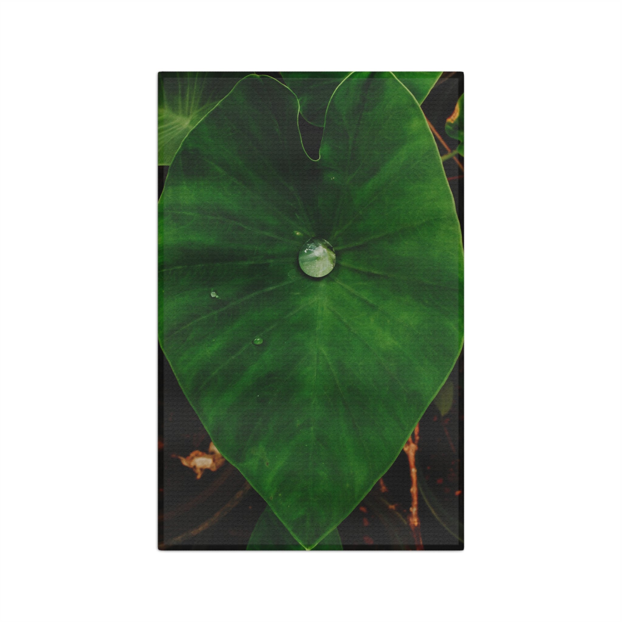 Kalo Microfiber Tea Towel