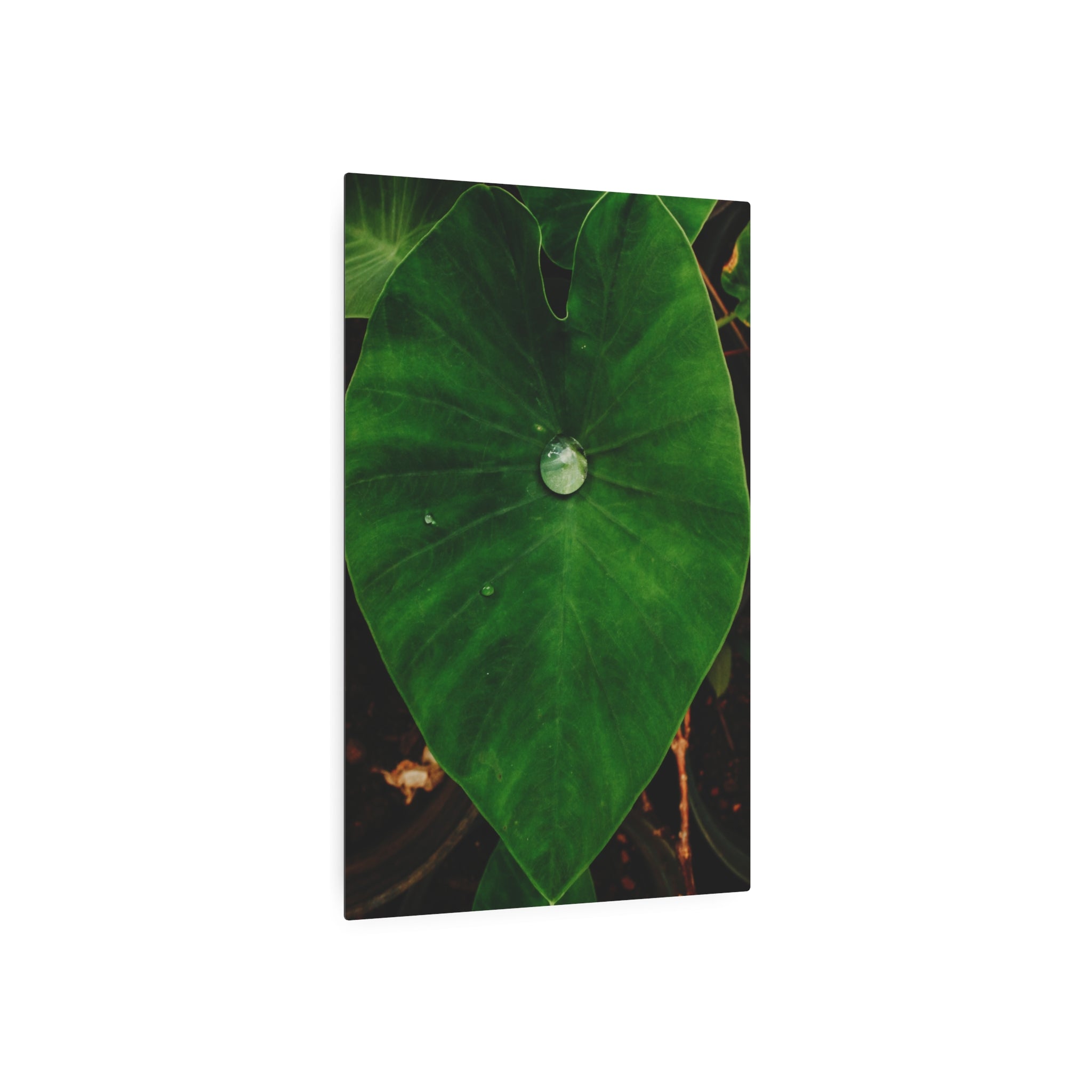 Kalo Metal Art Sign