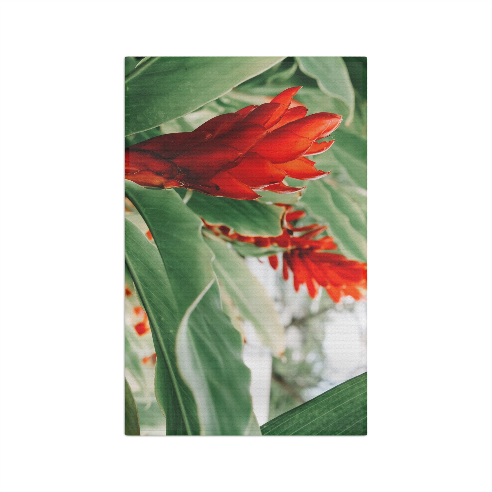 Awapuhi 'Ula'ula Microfiber Tea Towel